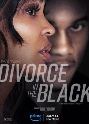 Tyler Perry's Divorce in the Black Movie Poster