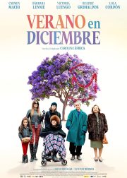 Verano en diciembre Movie Poster