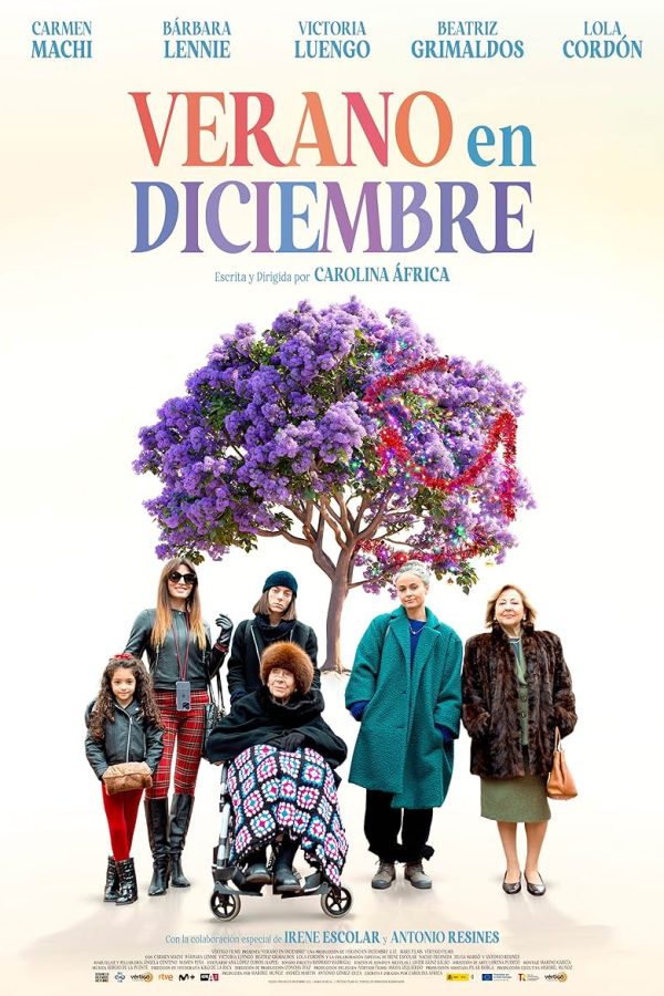 Verano en diciembre Movie Poster