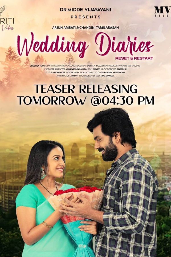 Wedding Diaries Movie Poster