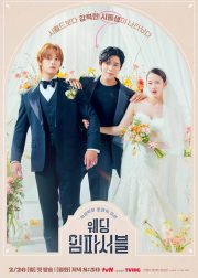Wedding Impossible TV Series Poster